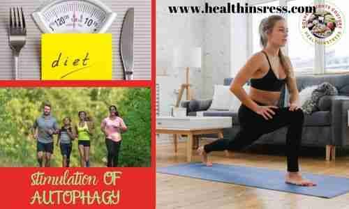 how to stimulate autophagy naturally